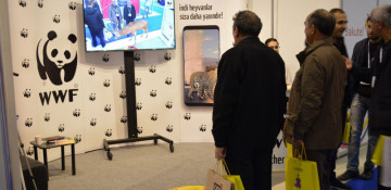 WWF Azerbaijan makes reading even more interesting for children