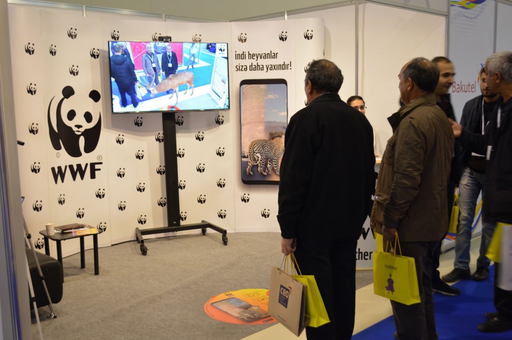 WWF Azerbaijan makes reading even more interesting for children