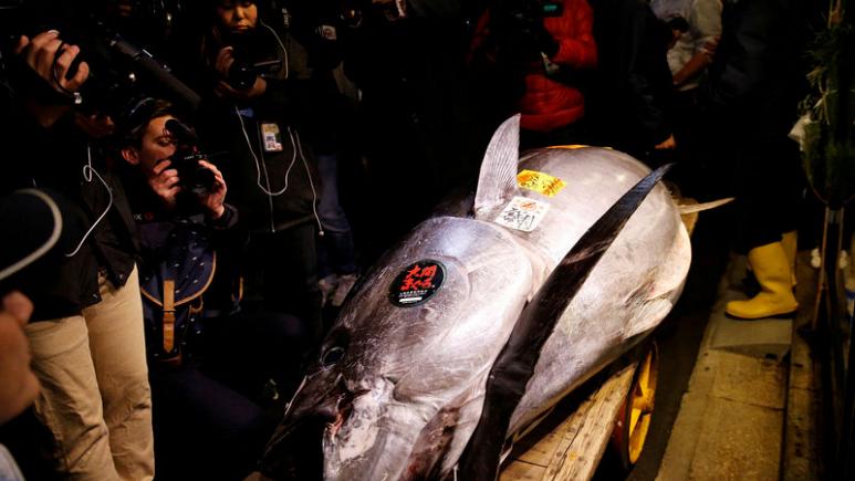 Tuna sells for record $3 million in auction at Tokyo's new fish market
