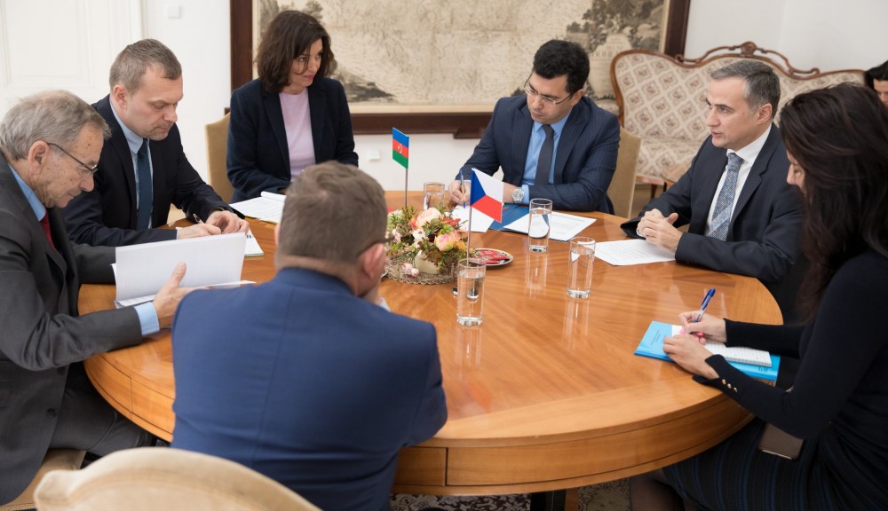 Senate President hails successful activities of Czech-Azerbaijani interparliamentary friendship groups
