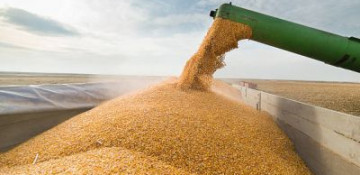 Azerbaijan reduced import of grain from Russia by 59.4%