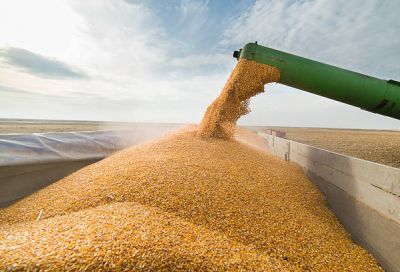 Azerbaijan reduced import of grain from Russia by 59.4%