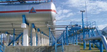 Azerbaijan, Algeria can establish cooperation in supply of liquefied gas