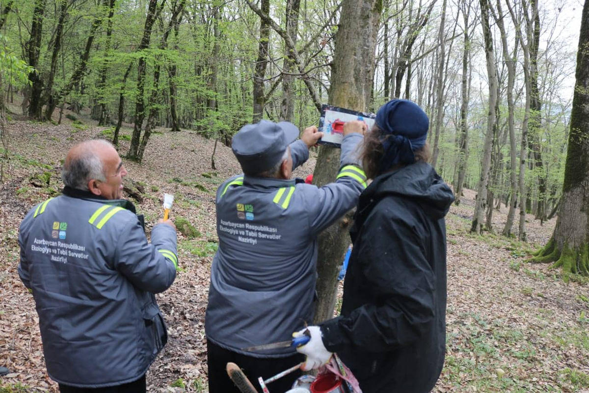 Azerbaijan creating hiking trails in national parks