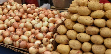 Onion, potato, cabbage prices drop in Azerbaijan