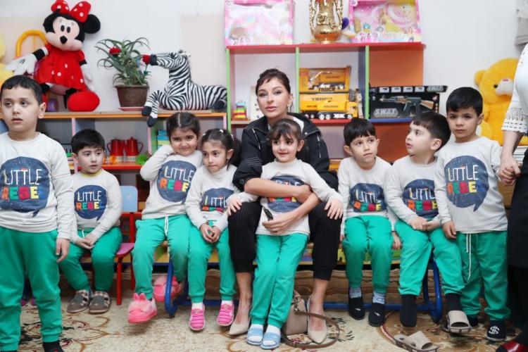 Mehriban Aliyeva gets acquainted with current state of some educational institutions