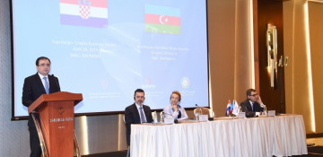 Seven Croatian companies operate in Azerbaijan - deputy minister