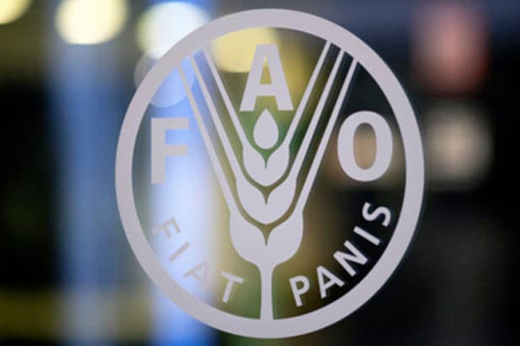 FAO positively assesses activities of Azerbaijan in field of food security