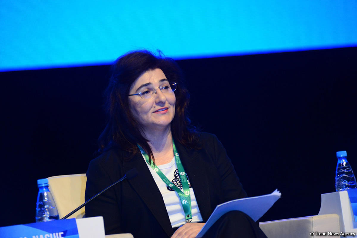 Azerbaijan takes steps to achieve Sustainable Development Goals