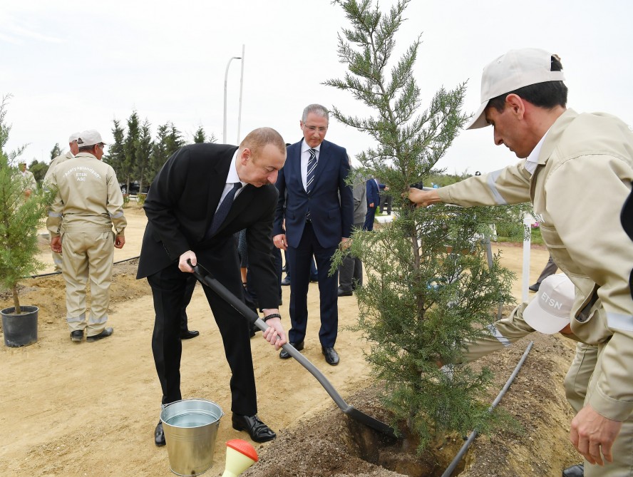 President Ilham Aliyev attends tree-planting campaign on occasion of national leader Heydar Aliyev`s birthday