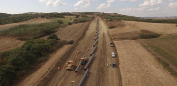 TAP is set to launch market test in summer