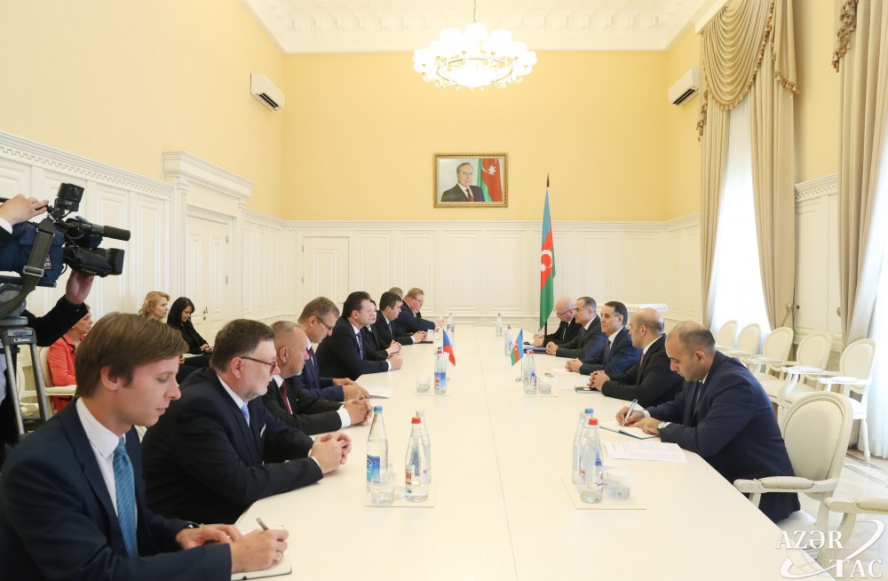 Azerbaijani PM meets delegation led by president of Chamber of Deputies of Czech Parliament 