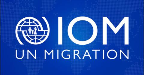 Baku hosts workshop on role of diplomatic missions in combating human trafficking