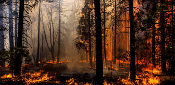 Wildfire breaks out in western Turkey