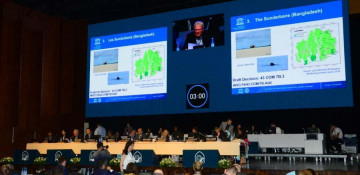 Budgetary issues of UNESCO World Heritage Committee being considered in Baku