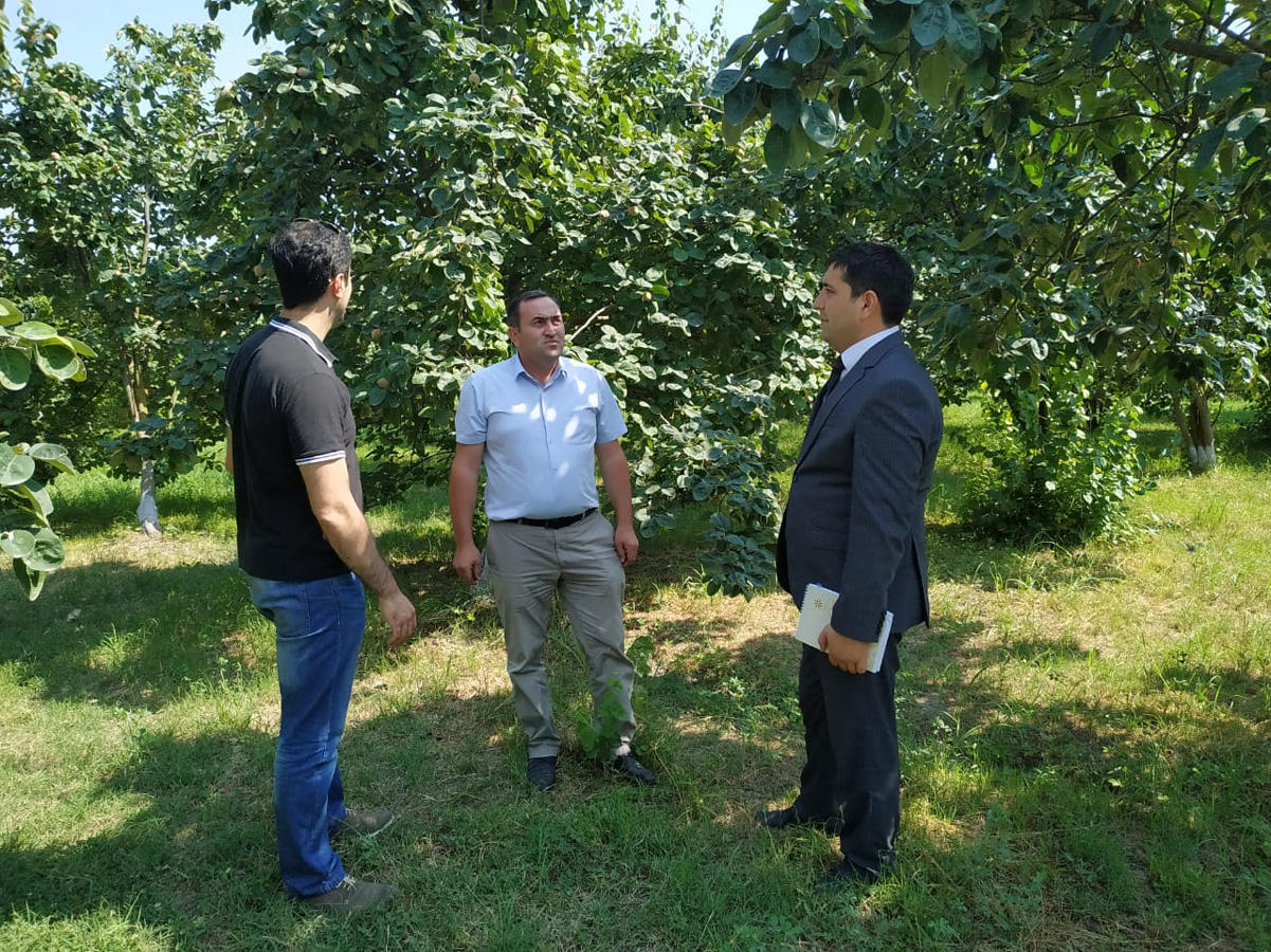 Azerbaijan implements educational program for development of farms