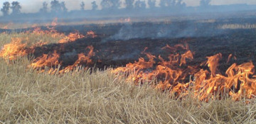 Fires become frequent in Armenia