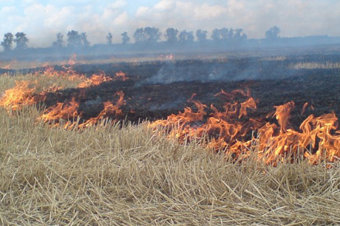 Fires become frequent in Armenia