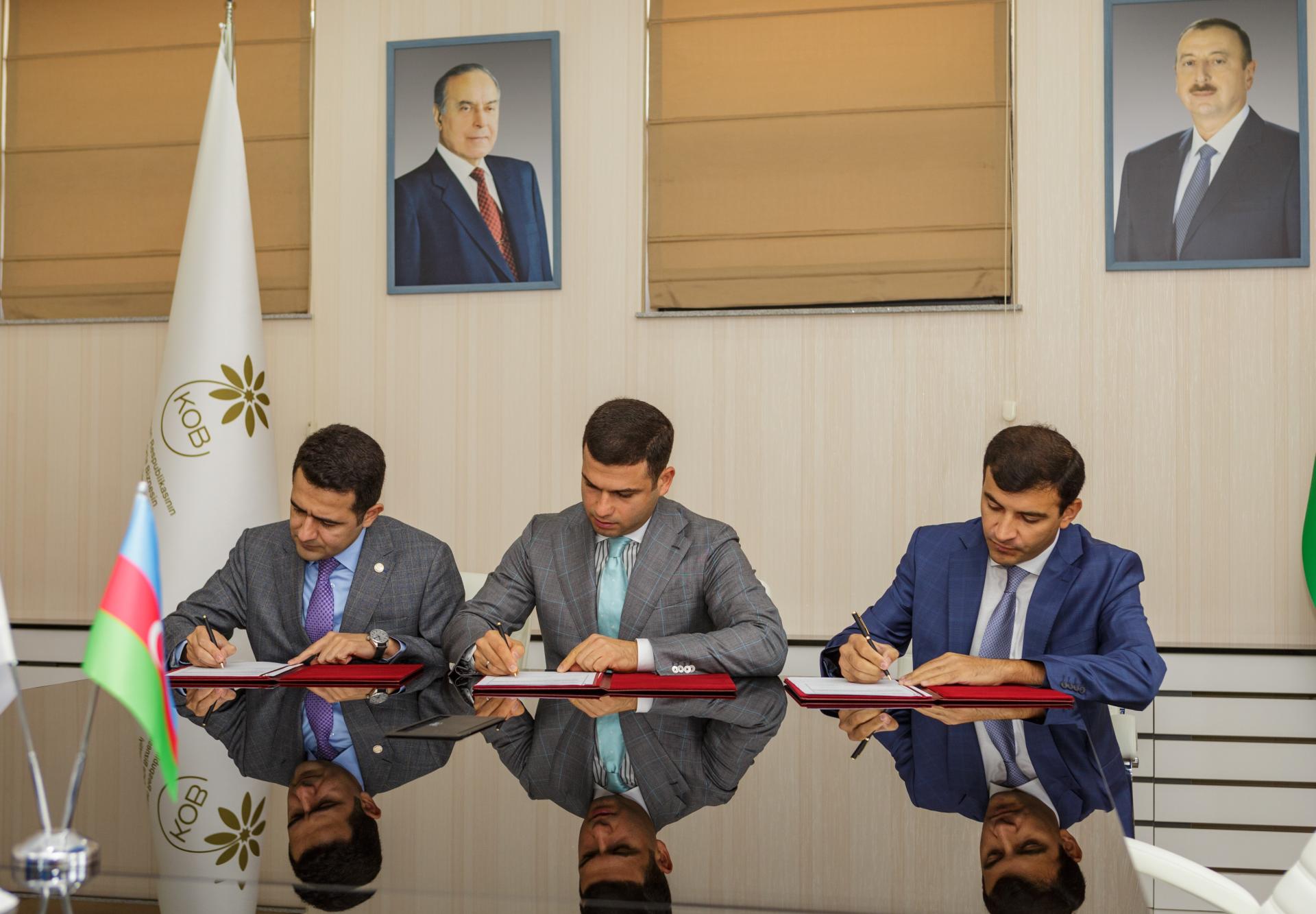 Baku to host General Assembly of Islamic Countries Youth Entrepreneurship Network