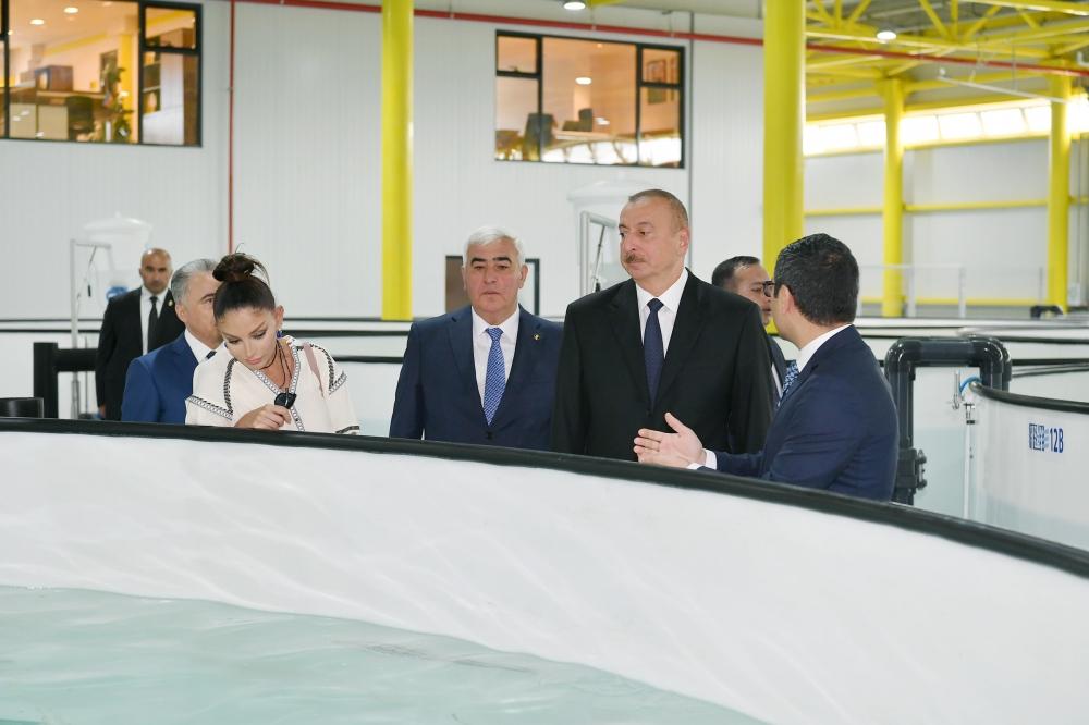 President Ilham Aliyev attends opening of Narakand fish farm in Pirallahi