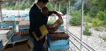 Azerbaijan’s SME Development Agency supports entrepreneurs dealing with beekeeping 