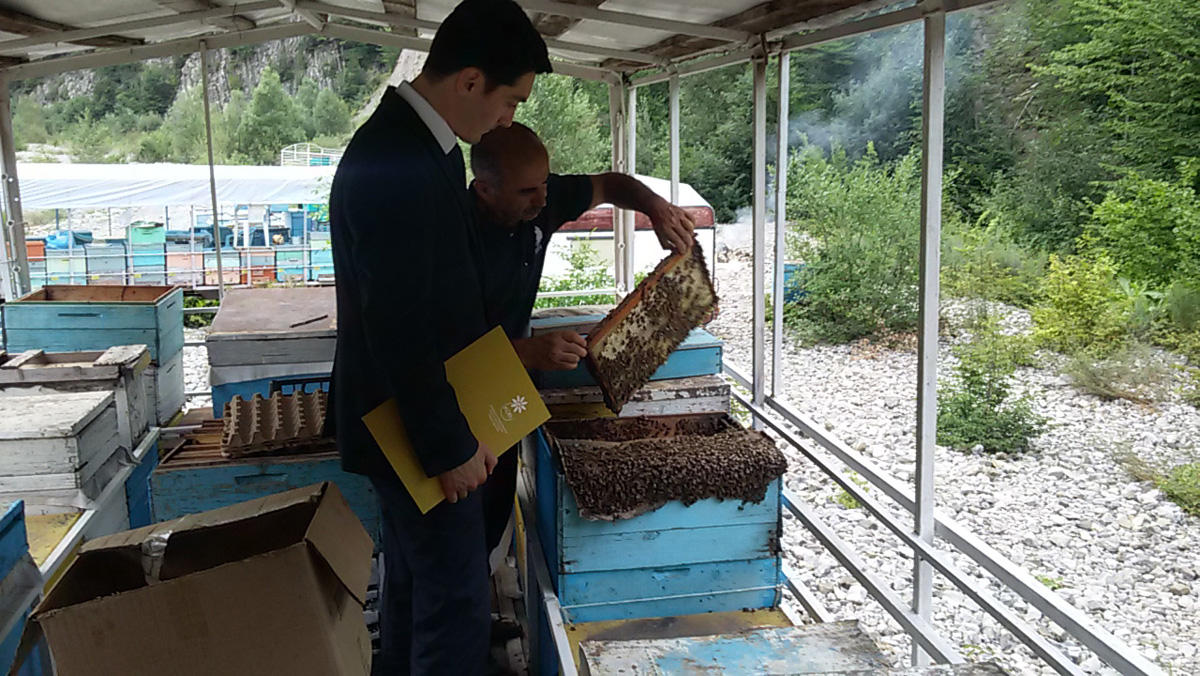 Azerbaijan’s SME Development Agency supports entrepreneurs dealing with beekeeping 