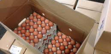 Azerbaijani poultry factory to start eggs exports to Kazakhstan