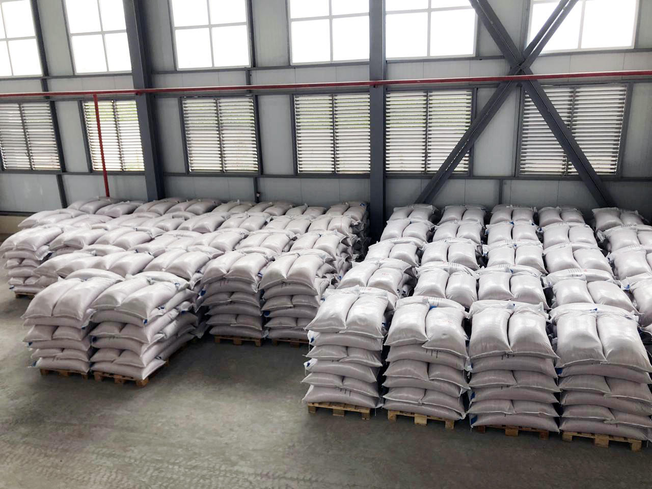 New plants of Azerbaijani State Seed Fund process 1,000 tons of seeds 