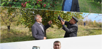 Fruit tree planting underway within 