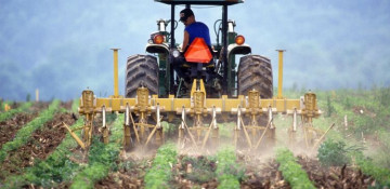 Agriculture production increases by 6.3% in Azerbaijan