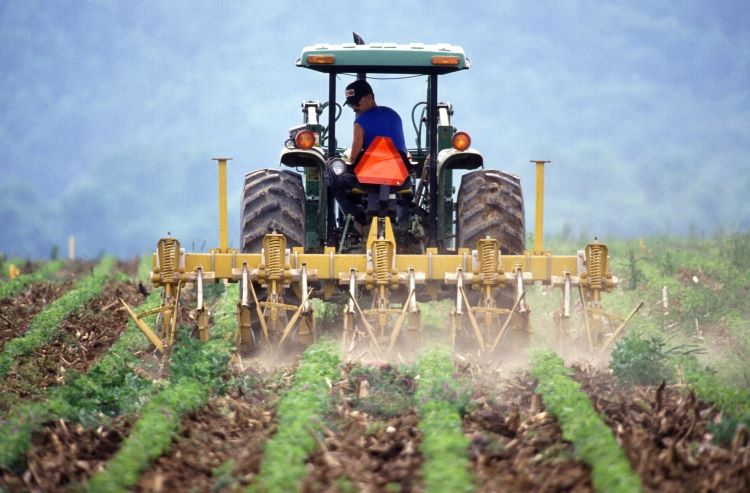Agriculture production increases by 6.3% in Azerbaijan