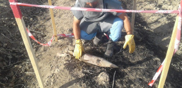 Unexploded cannon shell discovered in Azerbaijan’s Fizuli district 