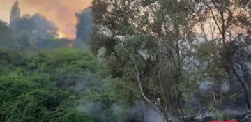Fire occurs in forest lane in Azerbaijan's Goygol region