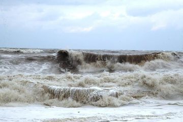 Swimming banned at Georgia's Black Sea beaches
