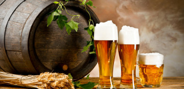 Mexico increases beer export to Azerbaijan