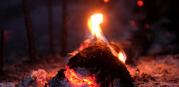 Brazil may accept G7 Amazon aid if France's Macron withdraws 'insults': Bolsonaro