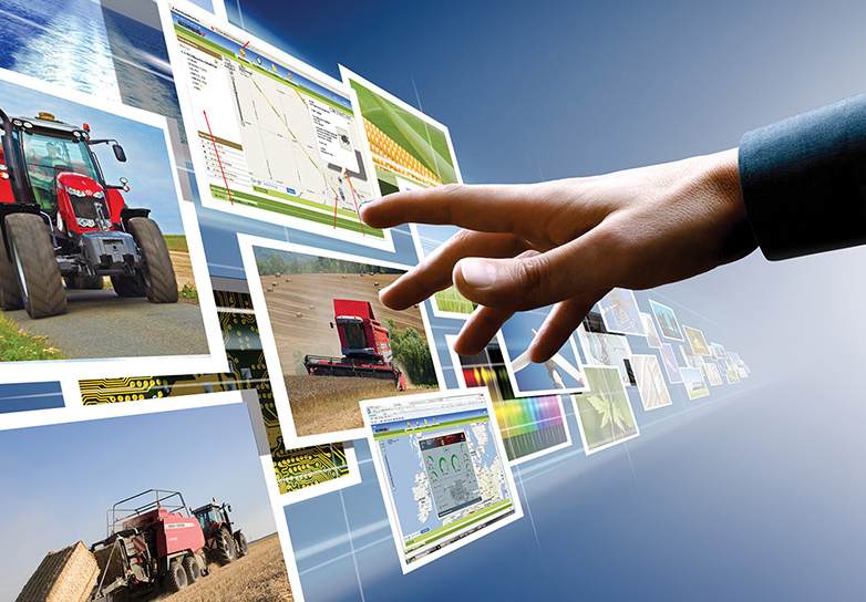 Azerbaijani farmers to lose subsidies for false information on sown area