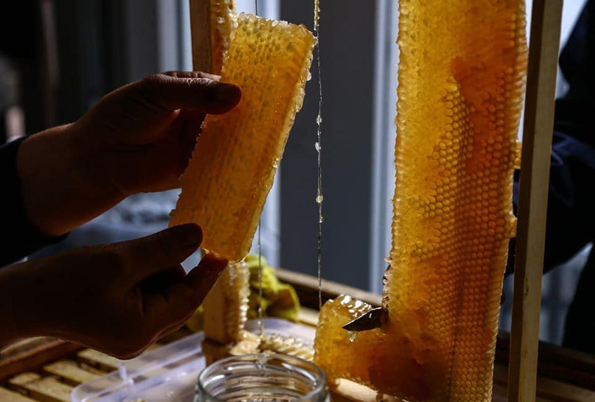 Beekeepers selected for participation in honey fair in Azerbaijan