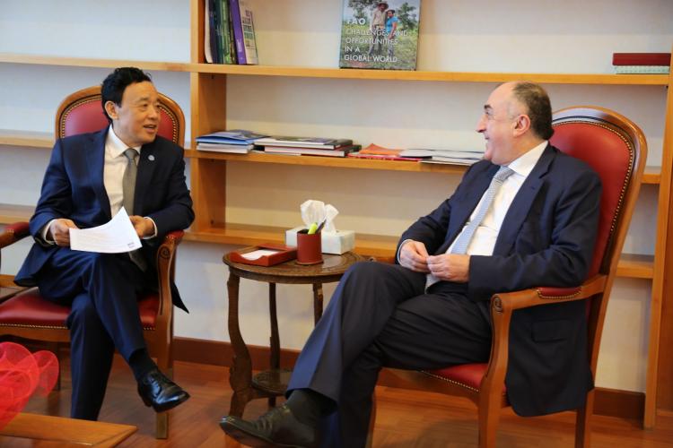 Azerbaijani FM meets with the Director General of FAO