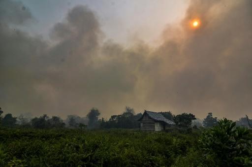 Malaysia, Indonesia shut thousands of schools over forest fires haze
