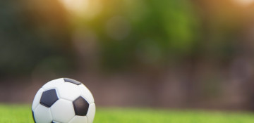 Head coach of Armenian football team resigns