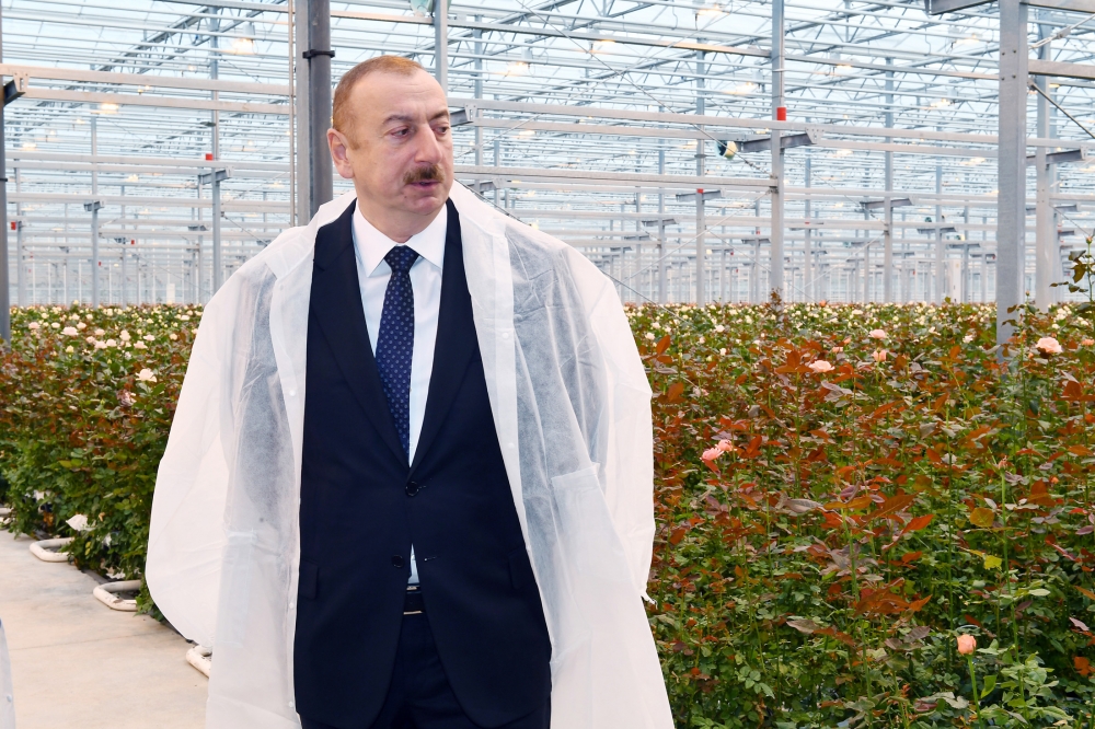 President Ilham Aliyev views floricultural greenhouse in Gabala 