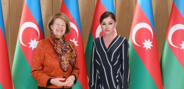 First Vice President of Azerbaijan meets with Baroness Emma Nicholson