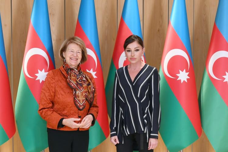 First Vice President of Azerbaijan meets with Baroness Emma Nicholson