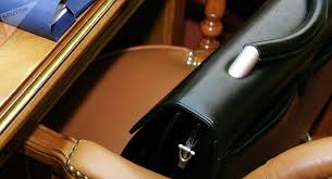 Yerevan Zoo director resigns because of stray dogs