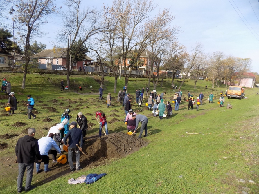 2000 trees to be planted in Lankaran district in one day