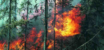Bushfires rage across Australia's east coast