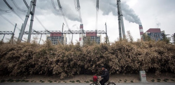 Coal power set for record fall in 2019: analysis
