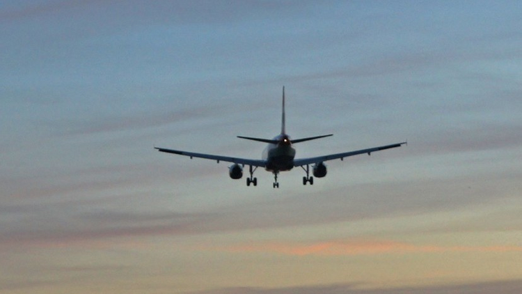Russia, Georgia may resume flights in first half of 2020