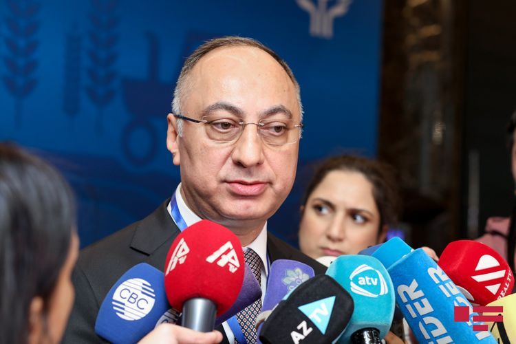 Goshgar Tahmazli: “About 100 employees of AFSA dismissed”